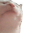 DIZAZA168
